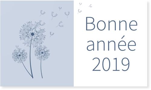 r1359_4_voeux2019.jpg r1359_4_voeux2019.jpg