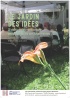 r2978_4_affiche_le_jardin_des_idees_500_thumbnail.jpg