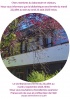 r2995_4_bib_llseti_2025_juillet_500_thumbnail.jpg