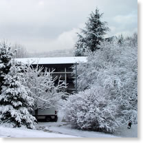 r582_4_neige.jpg r582_4_neige.jpg