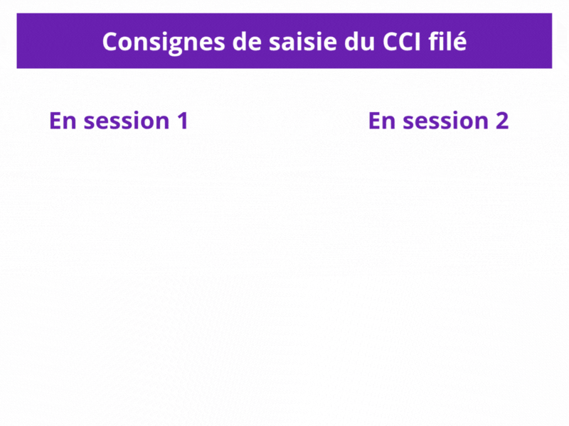Consignes de saisie du CCI filé
