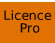 Licence professionnelle