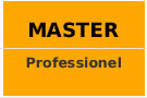 Masters Professionnels